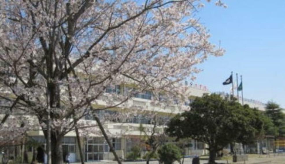 小学校 木更津市立高柳小学校 徒歩13分。