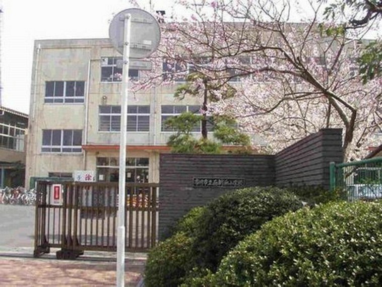 小学校 市川市立南新浜小学校 徒歩8分。