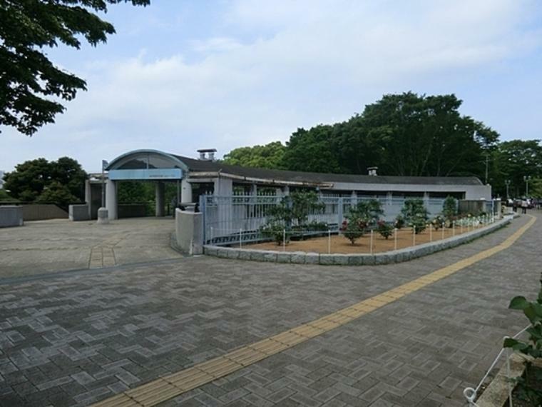 公園 根岸森林公園 なだらかな敷地いっぱいに広がる芝生広場。多彩な樹木による四季折々の景観も素晴らしく桜の季節は壮大で美しい景観が拡がります