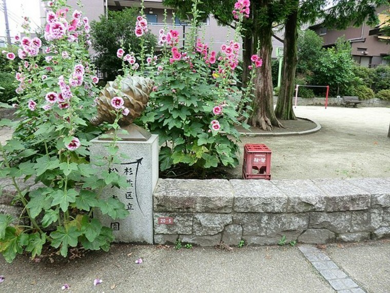 周辺環境 周辺環境:松ノ木公園