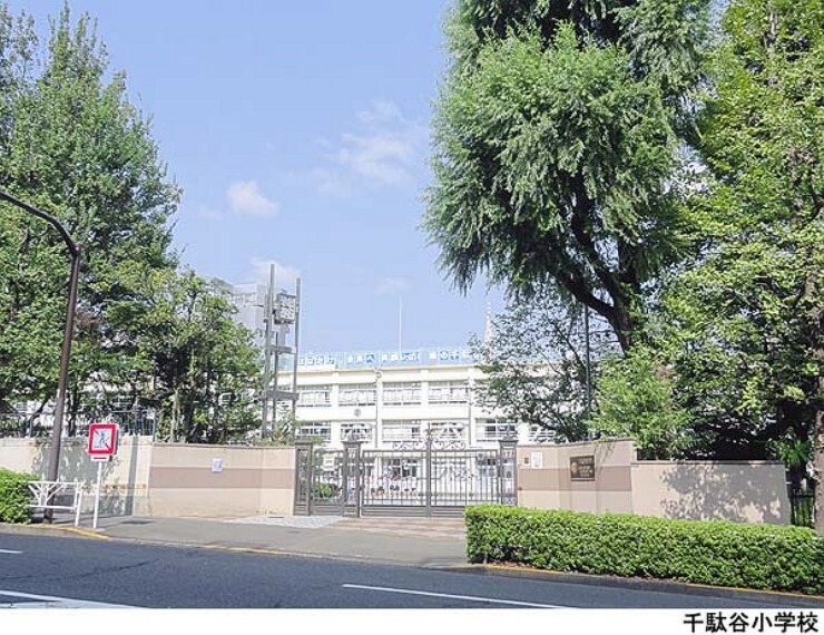 小学校 千駄谷小学校