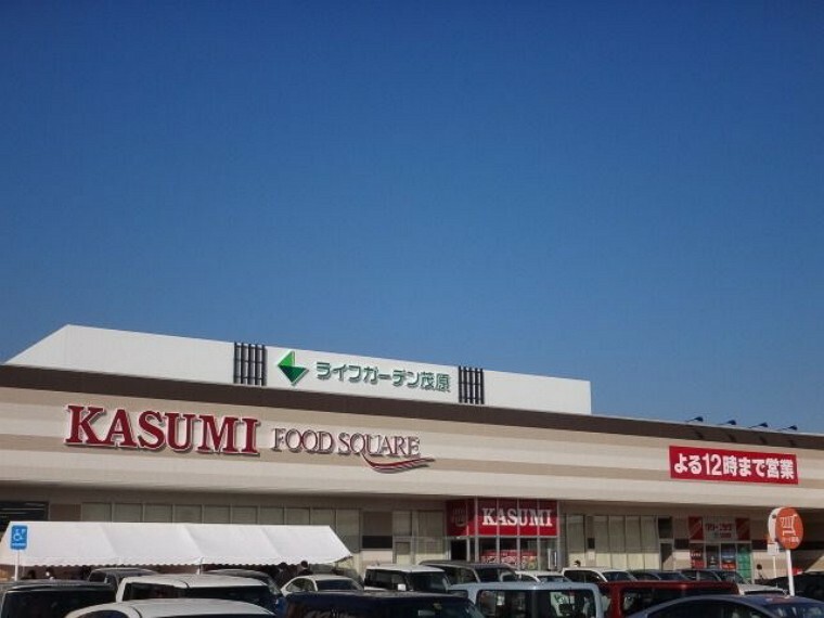 ショッピングセンター ライフガーデン茂原 徒歩39分。