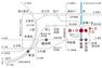 スムーズなアクセス  「鎌ヶ谷」駅より、JR総武線快速停車駅である「船橋」駅へ直通11分で到着。「東京」駅へ42分で到着します。※電車の所要時間はいずれも乗換・待ち時間を含んでいます。