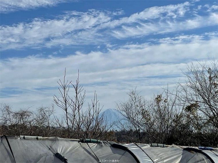 物件から見る富士山