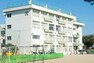 小学校 仙台市立八本松小学校　350m（徒歩5分）