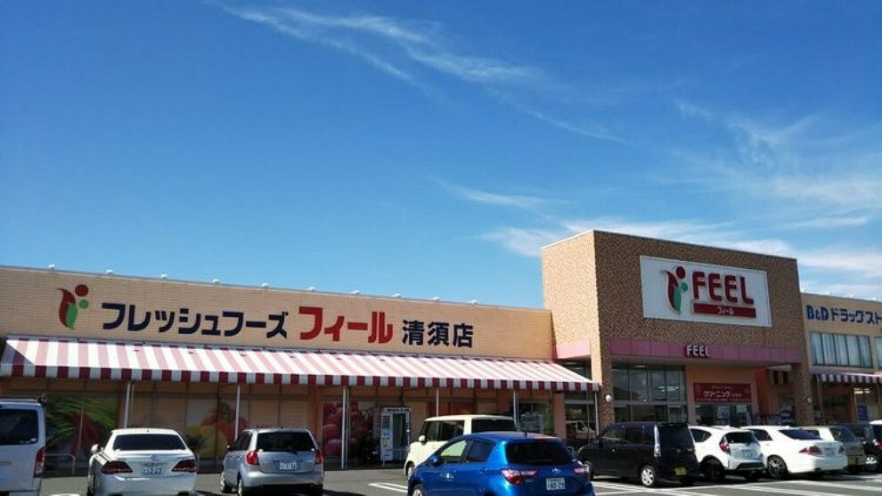 スーパー フィール清須店