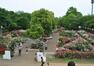 公園 光綾公園