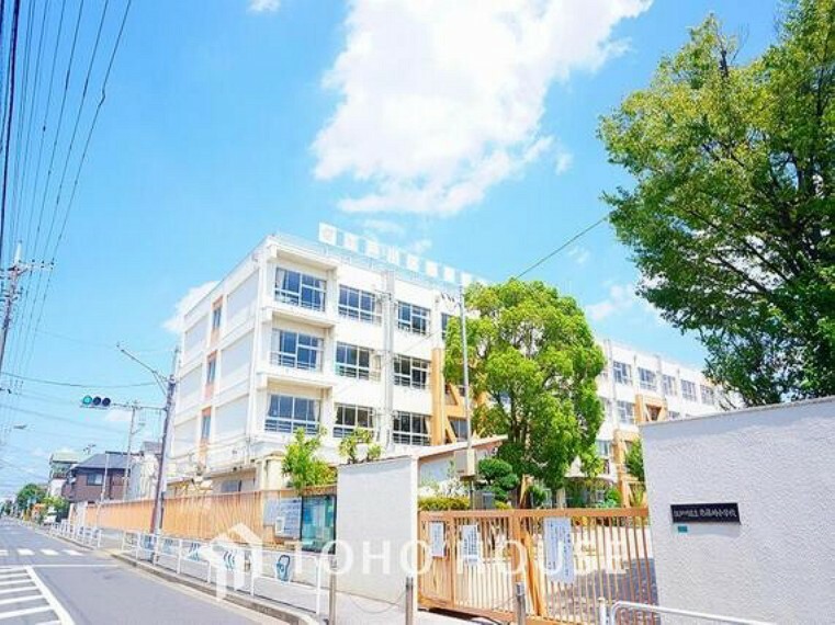 小学校 江戸川区立南篠崎小学校まで約454m。