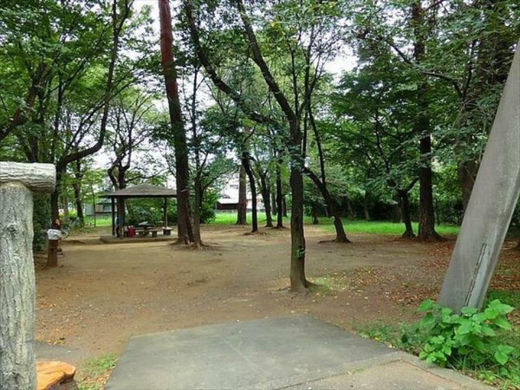 公園 萩山公園 多摩湖自転車歩行者道沿いのため、自転車でのアクセスも良好です。 東側広場は落葉樹の多い広場です。