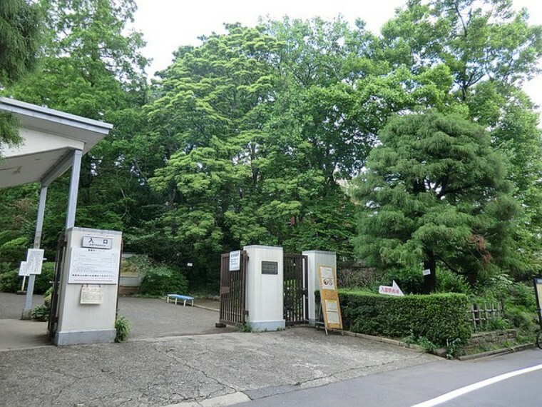周辺環境 小石川植物園