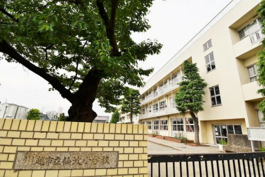 小学校 川越市立仙波小学校　徒歩6分