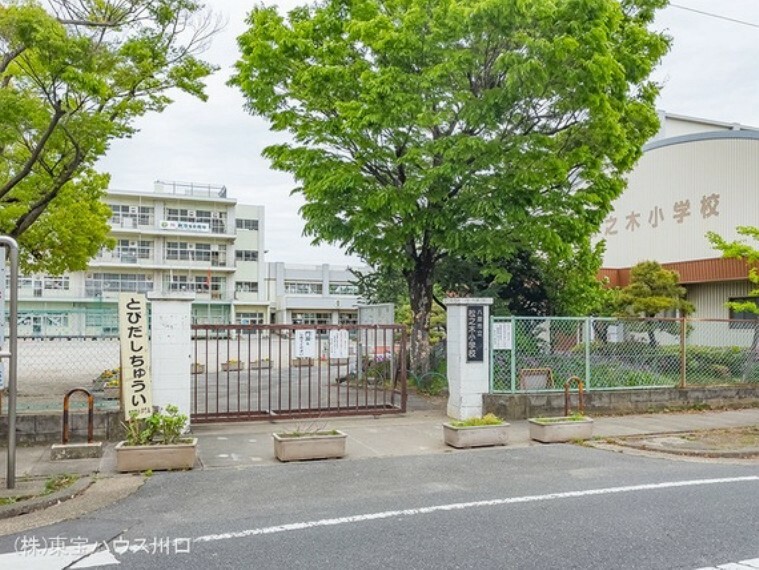 小学校 八潮市立松之木小学校 820m