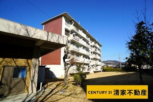 中央台団地 217号棟