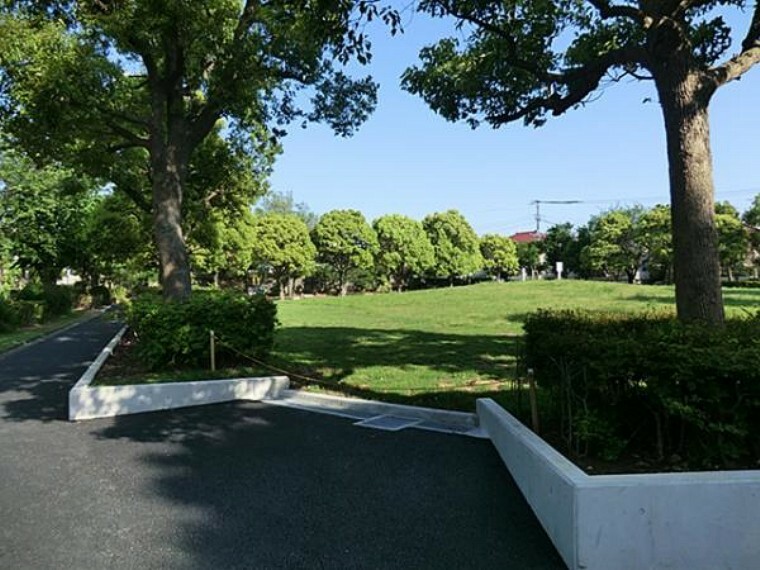 公園 今宿あきにれ公園