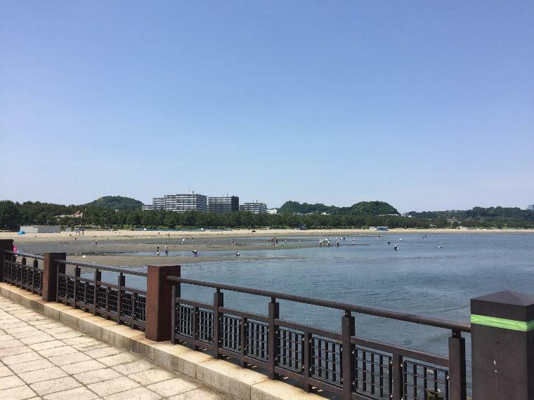 公園 海の公園（穏やかな波で小さなお子様連れでも安心して遊べる人工の砂浜。潮干狩りシーズンは大勢の人でにぎわう。バーベキュー場も。）