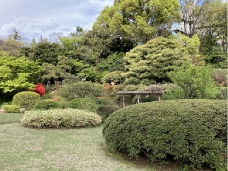 庭園には広い芝生広場があり、樹木や草花で彩られています。池では、四季折々の景観を楽しめます。