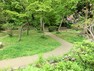 公園 蒔田の森公園