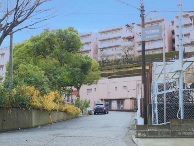 コスモ綱島台3号館 1階