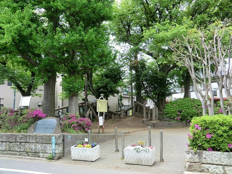 周辺環境 富士見台公園