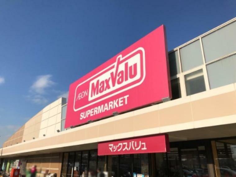 ショッピングセンター マックスバリュ辰巳台店
