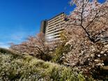 パークハウス多摩川　南四番館