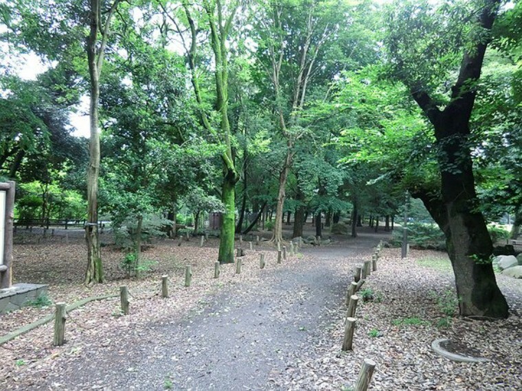 周辺環境 周辺環境:都立和田堀公園