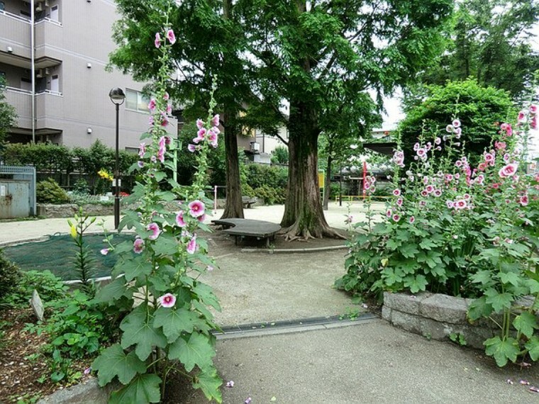 周辺環境 周辺環境:松ノ木公園