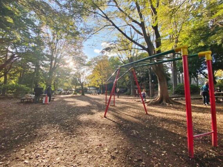 公園 石神井公園　まで約1800m