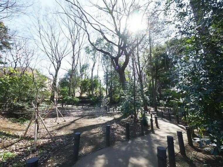 公園 清水山憩いの森まで約546m