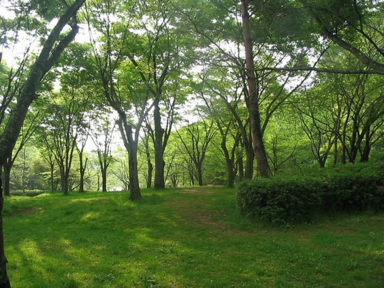 公園 宝が池公園