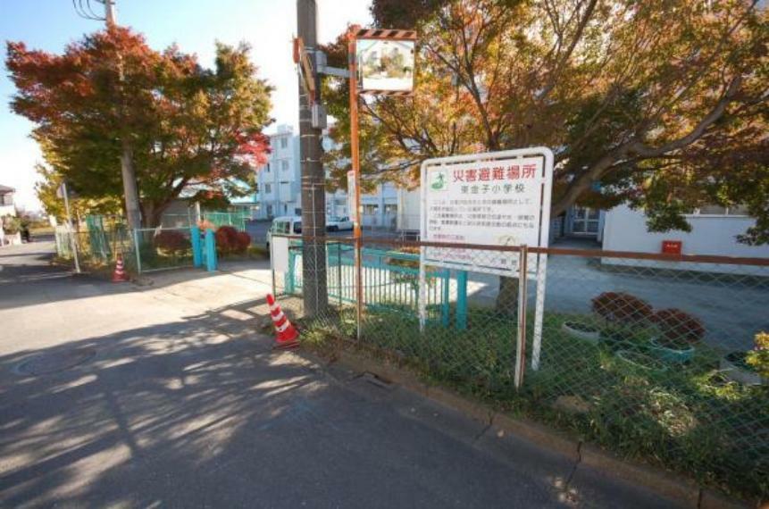 小学校 東金子小学校　1040m