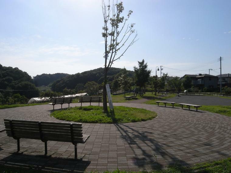 海道ひだまり公園（●近くには公園が点在し、緑あふれる住環境です。適度な遊具、子供が走り回れる広さの公園は子育て世帯には嬉しいですね●）