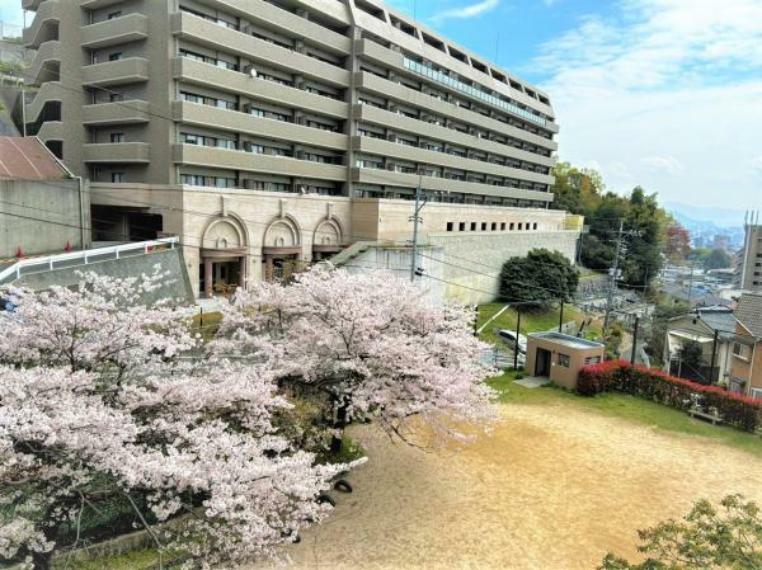 公園 マンションの目の前にある古江上公園です。春は桜も咲いて非常にきれいですね。