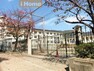 小学校 神戸市立こうべ小学校 徒歩5分。