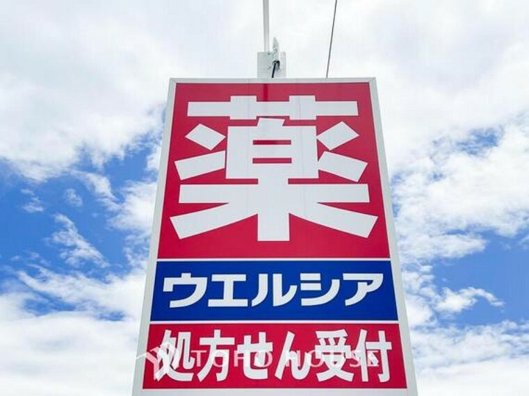 ドラッグストア ウエルシア吉川栄店