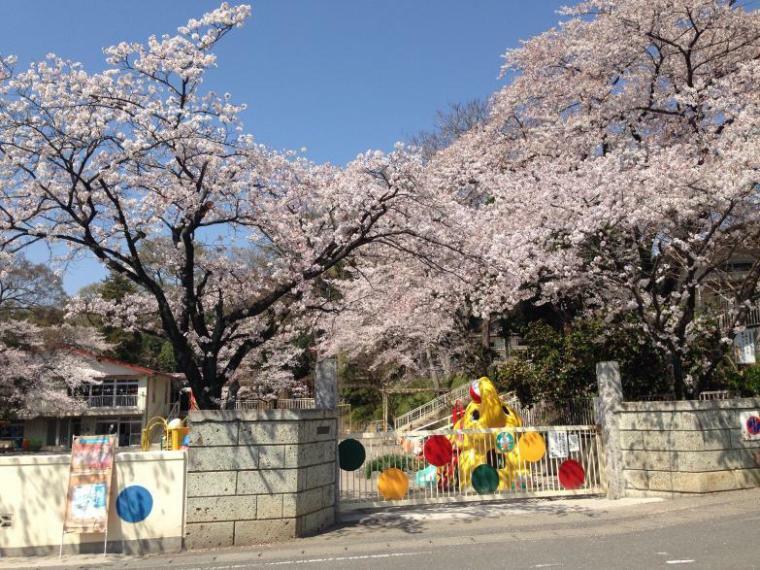 幼稚園・保育園 【幼稚園】東平幼稚園まで1021m