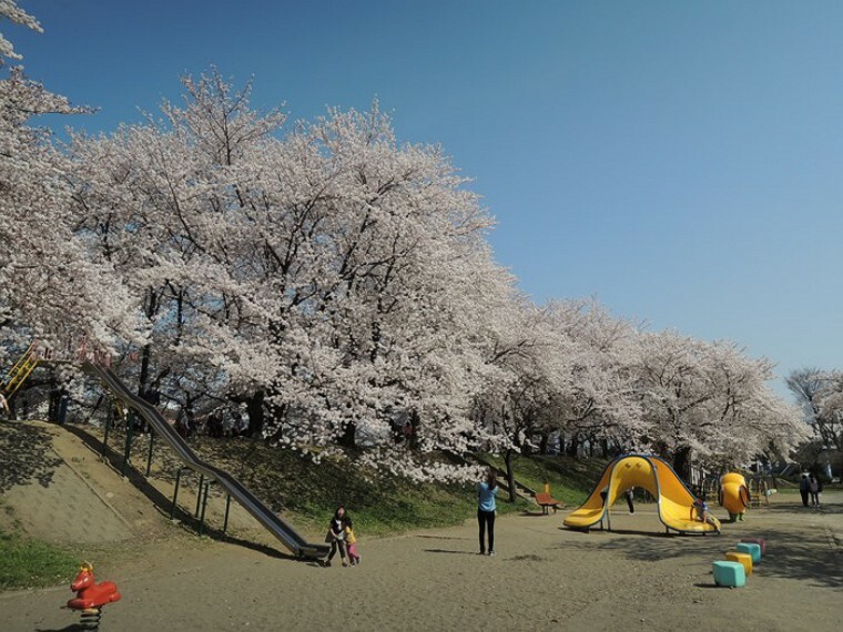 公園 【公園】熊谷　万平公園まで942m