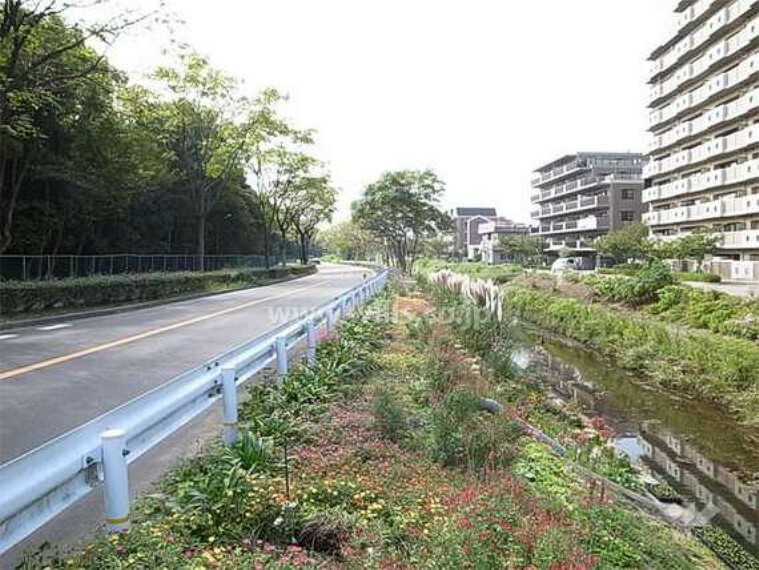 敷地の南側には天神川を挟んで昆陽池公園が広がっています。