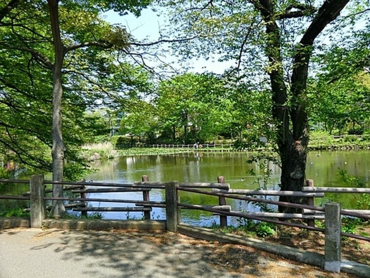 公園 菊名池公園 妙蓮寺駅徒歩5分。蓮の浮いた大きな池、広場、そして夏季にはプールもオープンします。ブランコ・すべり台などもあります。