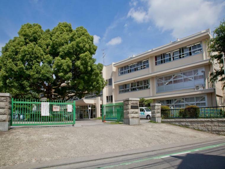 小学校 所沢市立清進小学校（800m）