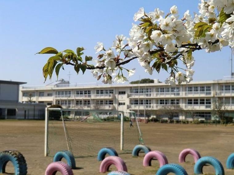 小学校 千葉市立/生浜東小学校 徒歩28分。