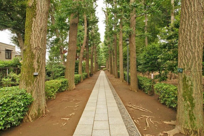 現況写真 近くに太田黒公園があります。