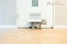 トイレ 【ネコドア】1FフリースペースとLDKに設置しました！ネコドアがあれば好きなときに部屋の外に出られるため、愛猫のストレス軽減につながります。