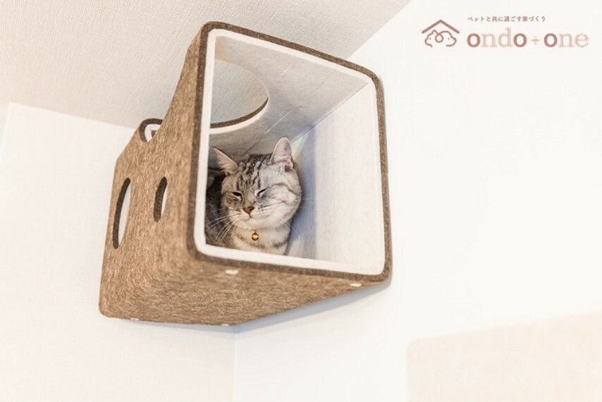 居間・リビング 【にゃんぺき】猫ちゃんの好奇心をくすぐる穴のあいたトンネル とっておきの隠れ家になります。