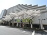 図書館 多摩市立関戸図書館