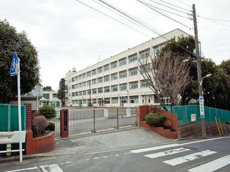 小学校 横浜市立中沢小学校 徒歩4分。