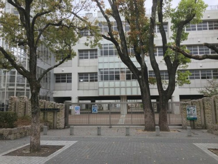 小学校 【小学校】尼崎市立難波の梅小学校まで563m