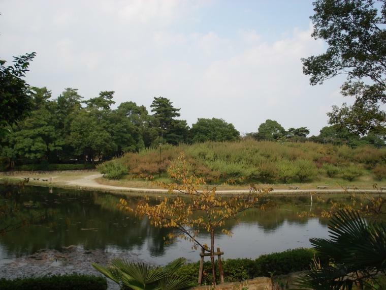 公園 【公園】緑ケ丘公園まで781m