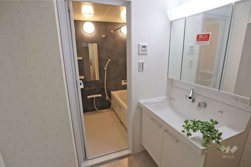 脱衣場 洗面室3面鏡・シンク下など収納がたっぷりあります、生活感を隠すことができます。