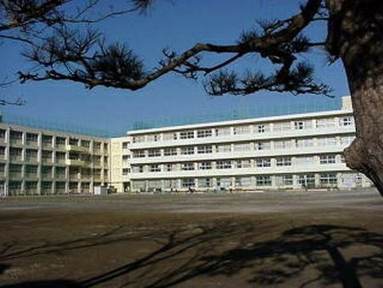 小学校 徒歩10分。市川市立信篤小学校